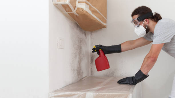 Professional Bathroom Mold Removal technician working in Loveville, MD